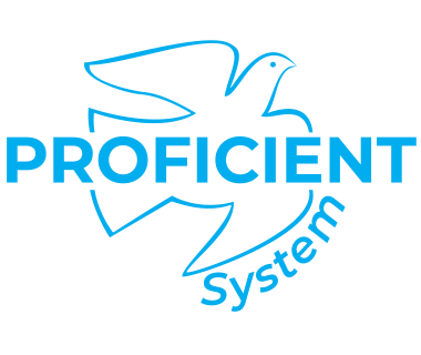 Proficient FI System